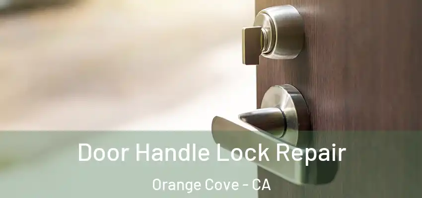Door Handle Lock Repair Orange Cove - CA