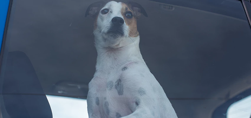 Car Lockout Solutions in Orange Cove, California