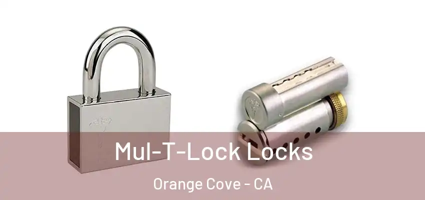  Mul-T-Lock Locks Orange Cove - CA
