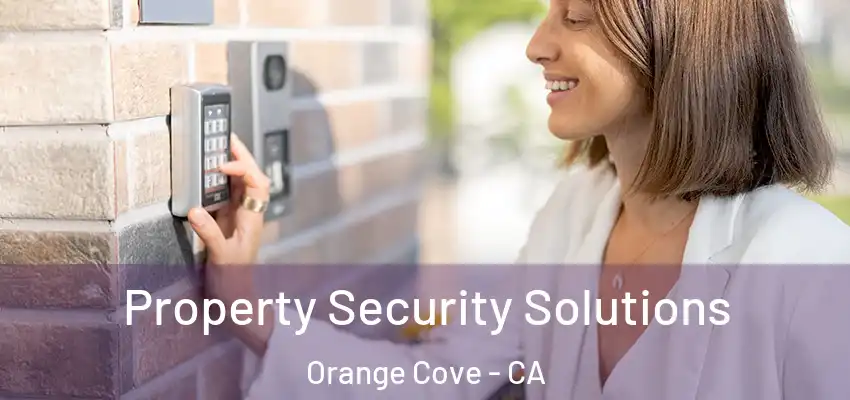  Property Security Solutions Orange Cove - CA